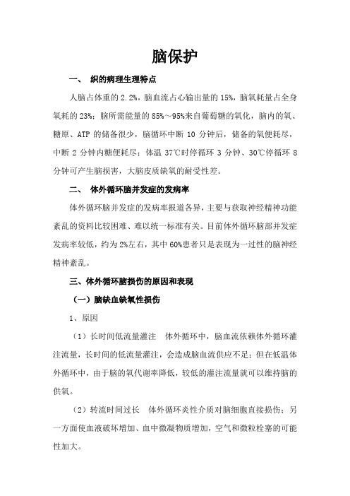 脑保护