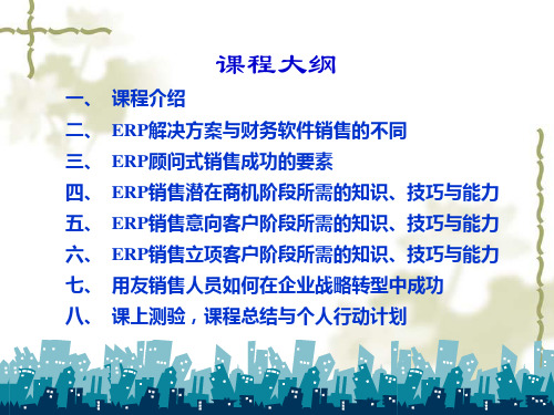 ERP顾问式销售的解决方案2