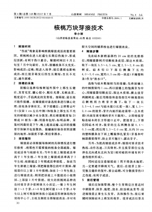 核桃方块芽接技术