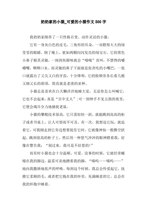 奶奶家的小猫_可爱的小猫作文500字