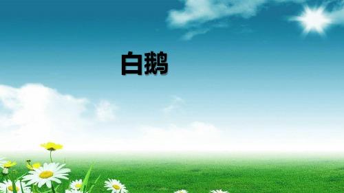 统编版四年级语文下册PPT课件第15课 白鹅  (共22张)