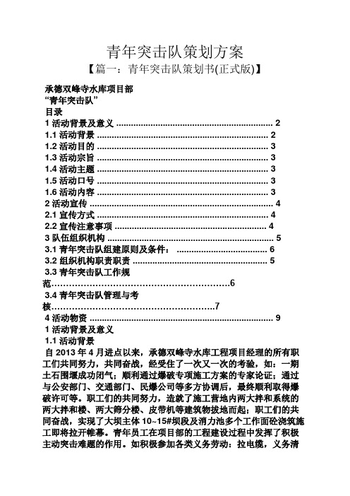 青年突击队策划方案