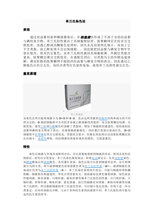 革兰氏染色法