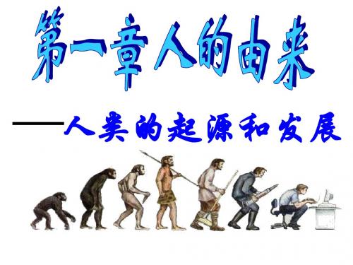 七年级生物人类的起源和发展2