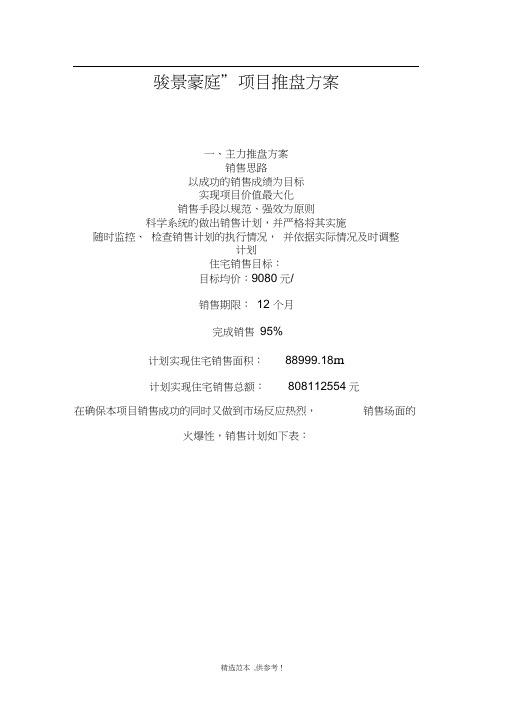 项目推盘策略方案