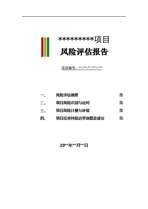 风险报告模板