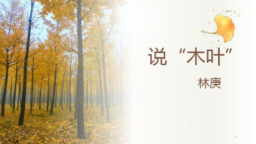 9 《说“木叶”》课件33张 统编版高中语文必修下册
