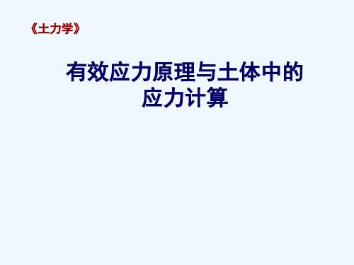 土力学第二章有效应力.ppt