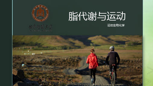 脂代谢与运动