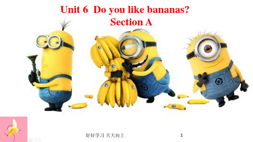 人教版(PEP义务教育版)初一英语七年级上册人教版  unit6 Do you like banan