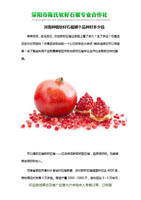 河南种植软籽石榴哪个品种好多少钱
