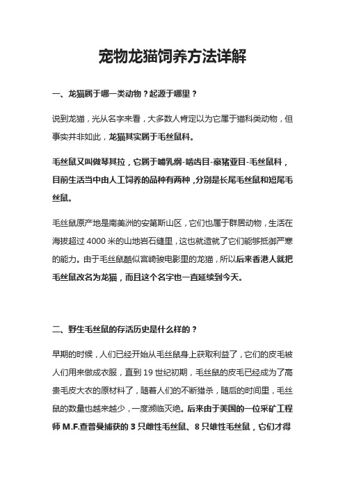 [全]宠物龙猫饲养方法详解