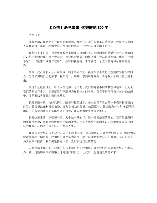 【心情】遇见未来 优秀随笔800字