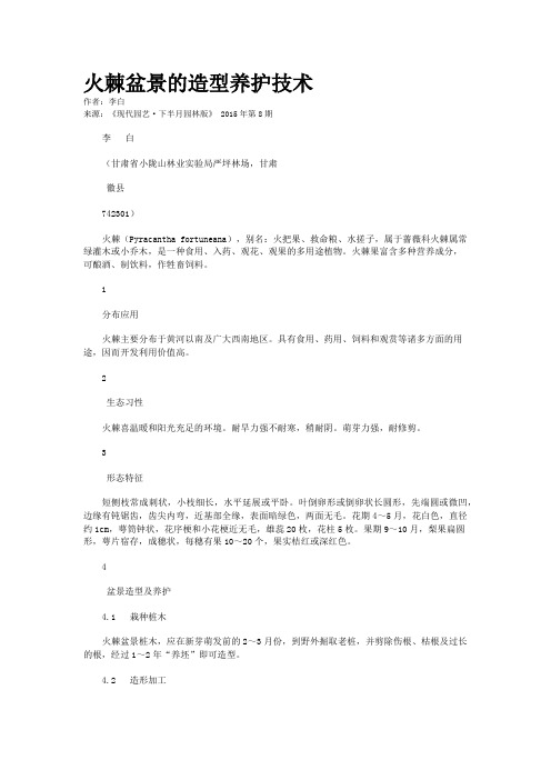 火棘盆景的造型养护技术