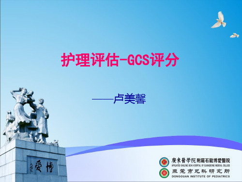 护理gcs评分 ppt课件