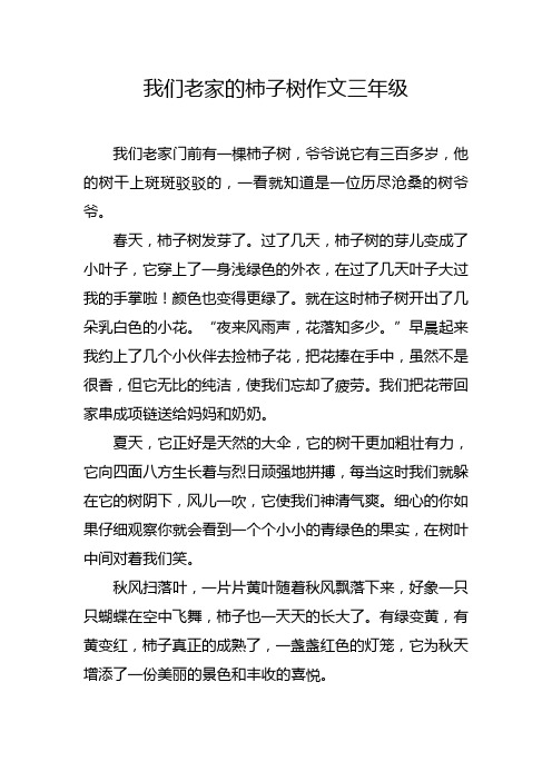 我们老家的柿子树作文三年级