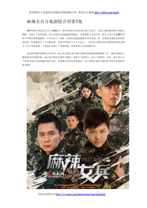 麻辣女兵分集剧情介绍