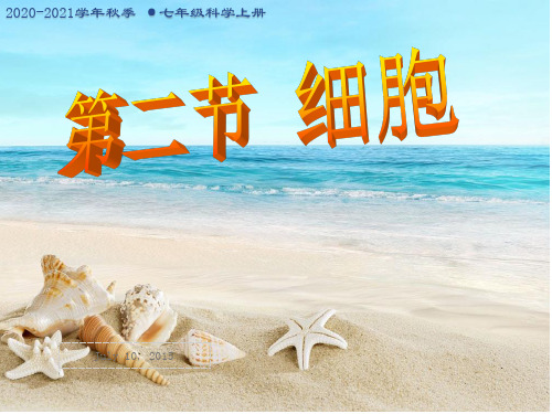 精品课件-新浙教版科学七年级上2-2细胞