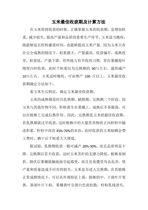 玉米最佳收获期