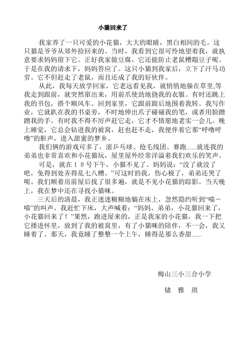 小猫回来了