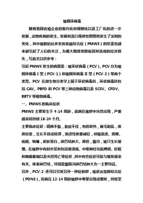 猪圆环病毒
