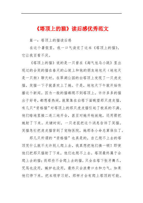 《塔顶上的猫》读后感优秀范文