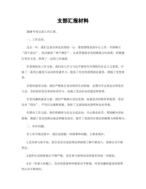 支部汇报材料