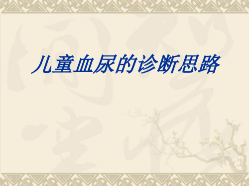 儿童血尿的诊断思路ppt课件
