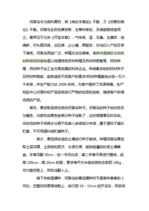 何首乌苗栽培技术