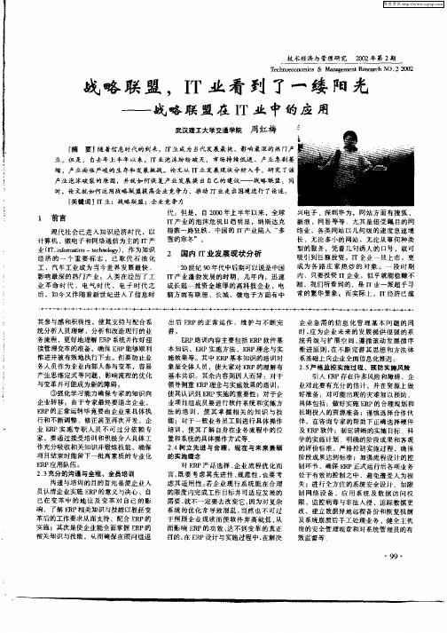 战略联盟、IT业看到了一缕阳光——战略联盟在IT业中应用