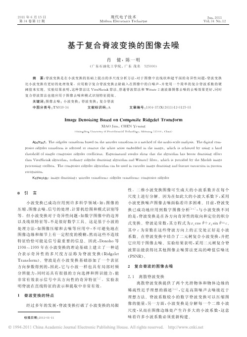 基于复合脊波变换的图像去噪
