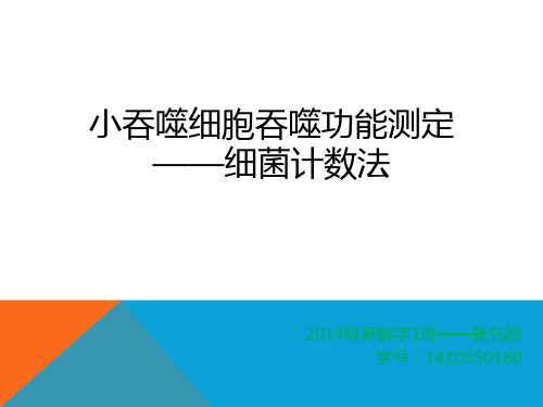 中性粒细胞吞噬功能测定