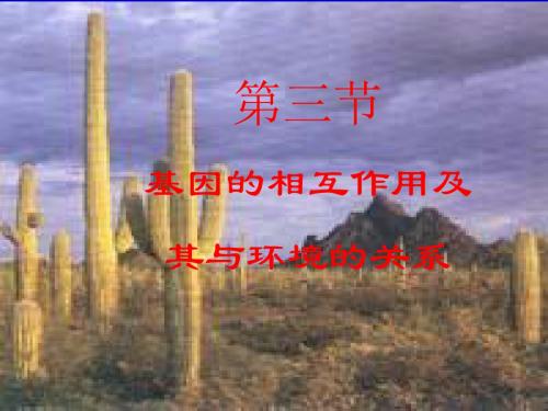 第三章第三节  基因互作与环境