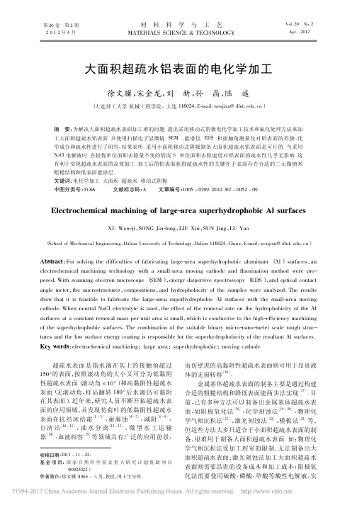 大面积超疏水铝表面的电化学加工_徐文骥