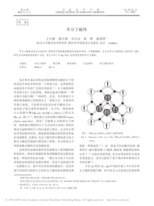 单分子磁体
