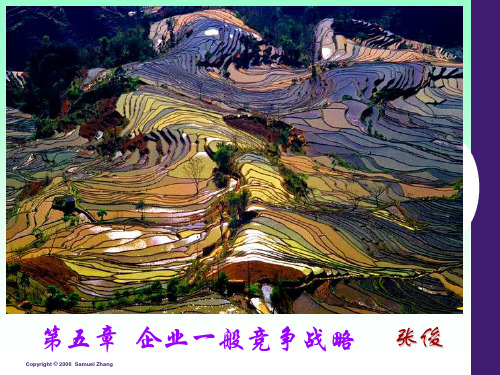 企业一般竞争战略讲义(PPT 97页)