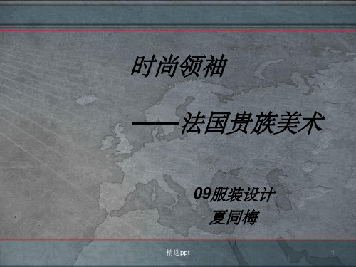 《法国贵族美术》PPT课件