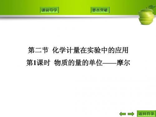 第1课时  物质的量的单位——摩尔