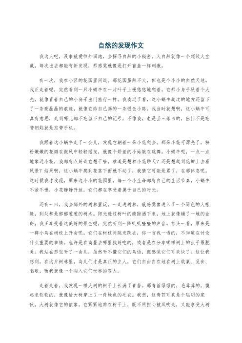 自然的发现作文