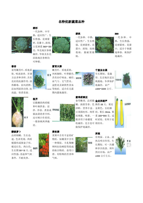 名特优新蔬菜品种
