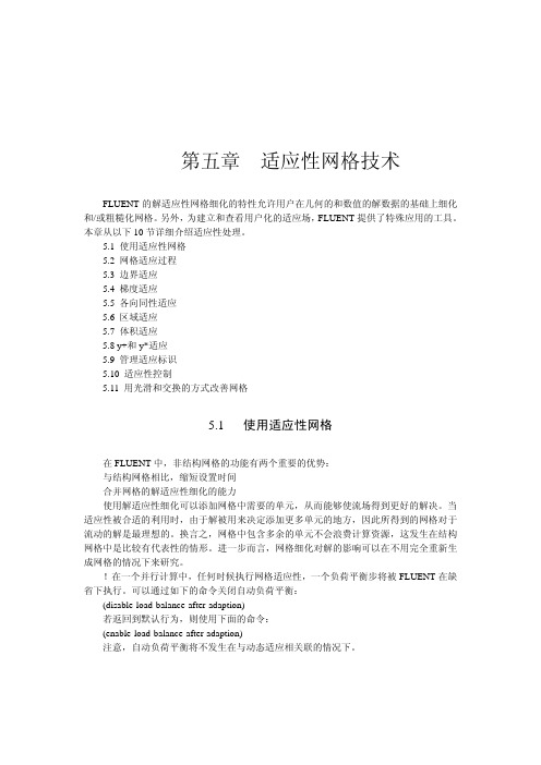 05-第五章 FLUENT适应性网格技术