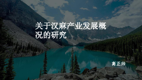 汉麻产业研究PPT.