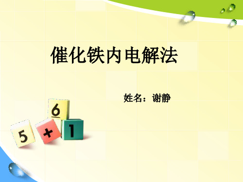 催化铁内电解法