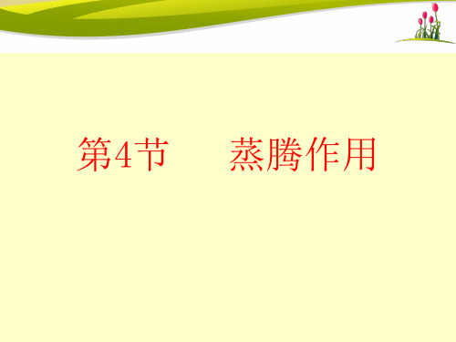 《第4节 蒸腾作用》PPT课件(广 西县级优课)