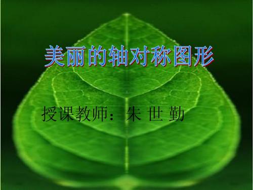 轴对称图形课件