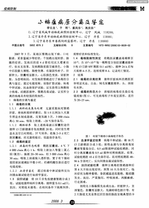 小鹅瘟病原分离及鉴定