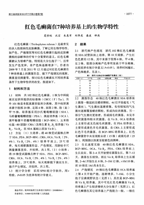 红色毛癣菌在7种培养基上的生物学特性