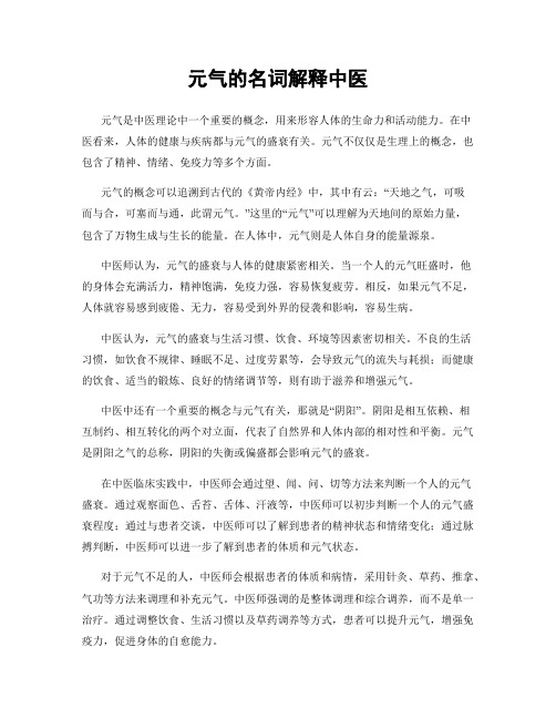 元气的名词解释中医