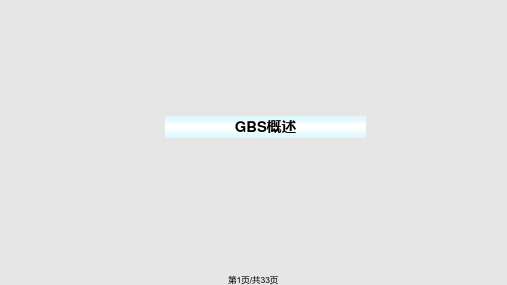 GBS核酸检测PPT课件