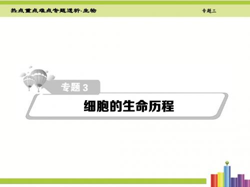 【热点重点难点专题透析】2016届高考生物二轮复习细致讲解课件专题3   细胞的生命历程(共229张PPT)